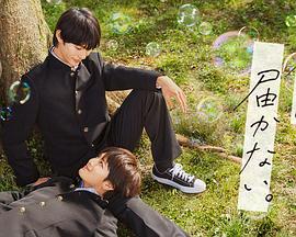 衡水网络推广网站优化